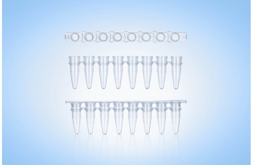 8-Strip tubes for PCR 0.2ml transparent with cap